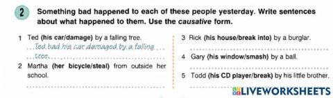 Causative Form (Have something Done)-2