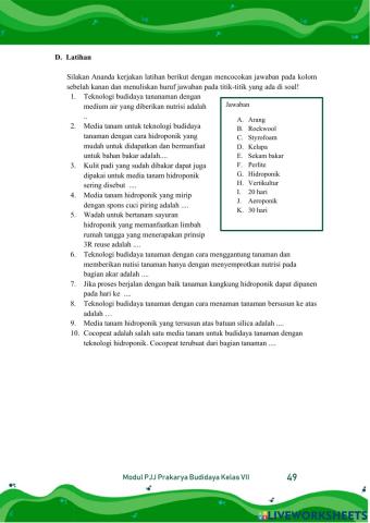 Teknologi budi daya sayuran