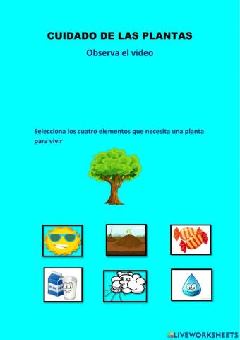 Cuidado de las plantas
