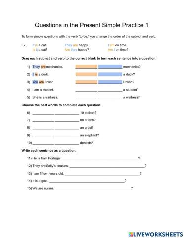 Questions in the Present Simple 1