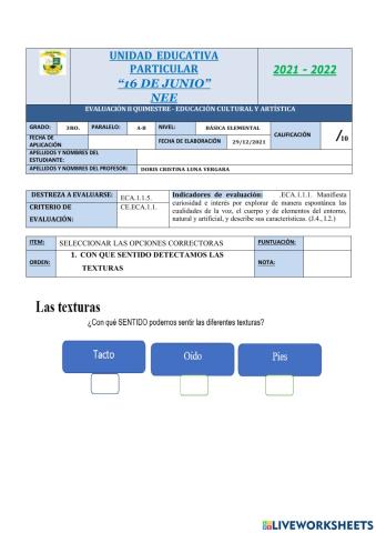 Evaluaciòn ii q 3ro nee