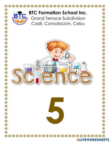 Plants Reproductive System