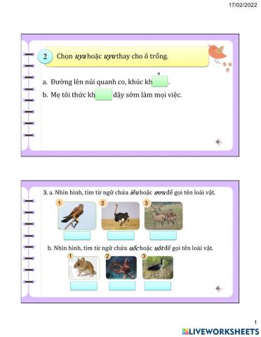 Chính tả Tuần 23