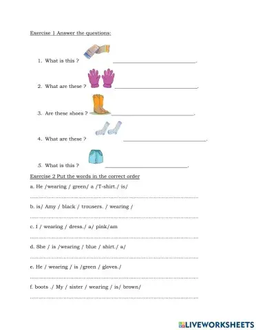 What are you wearing ?