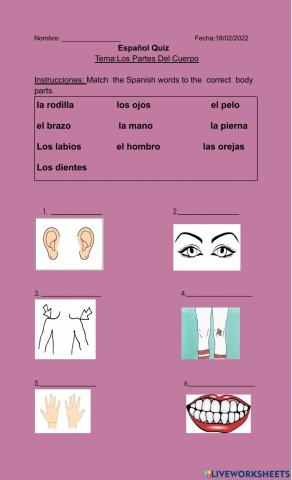 Los Partes del Cuerpo