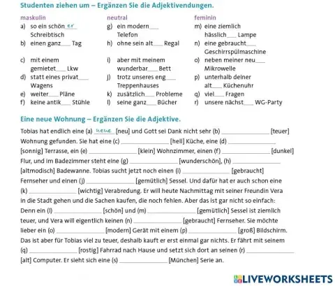 Sicher B1+ - C1 Übungsgrammatik - Adjektivdeklination bei indefinitem Artikel