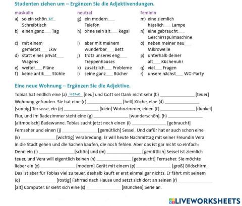 Sicher B1+ - C1 Übungsgrammatik - Adjektivdeklination bei indefinitem Artikel