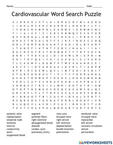Cardiovascular Word Search