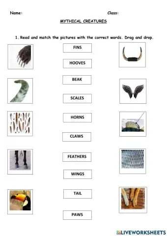 Mythical creatures verb to be