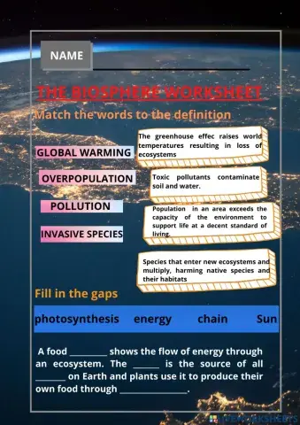 The biosphere worksheet