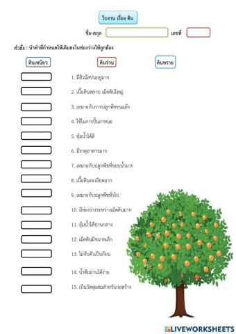 ใบงาน เรื่อง ดิน