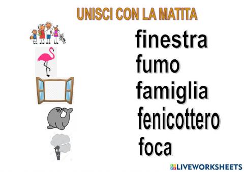 Parole F in minuscolo