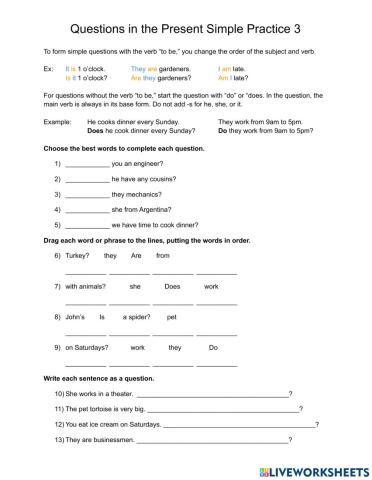 Questions in the Simple Present 3