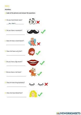 Verb Have Interrogative Form