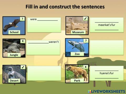 Fill in and construct the sentences