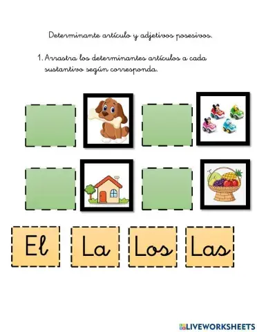 Determinante artículo y determinante posesivo