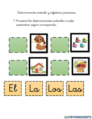 Determinante artículo y determinante posesivo