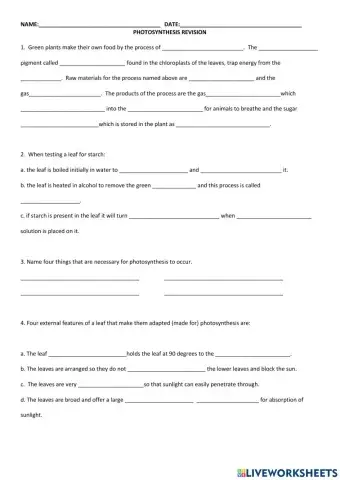 Photosynthesis Review