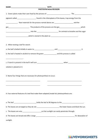 Photosynthesis Review