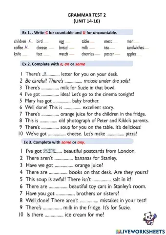 Grammar Test 3 (Unit 14-16)