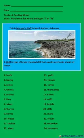 Plural Form for Nouns Ending in “f” or “fe”