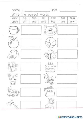 Drag and drop  grade 1