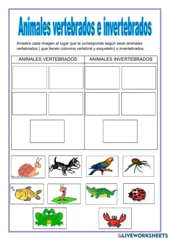 Vertebrados e invertebrados