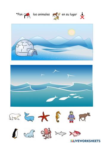 Ecosistemas: Polo y Océano