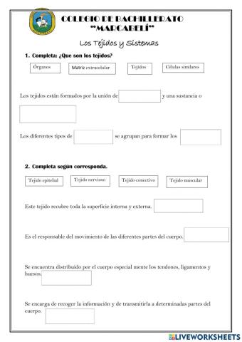 Tejidos y sistemas