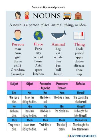 1.6 Noun and Pronoun