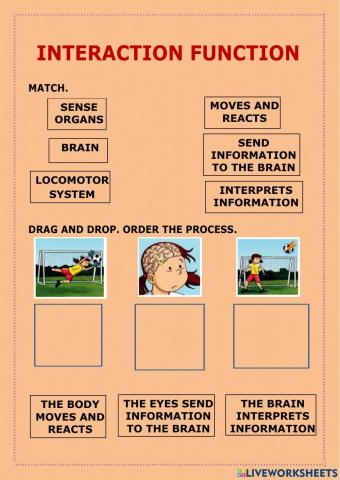 Interaction function