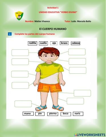 El cuerpo humano y los niveles celulares