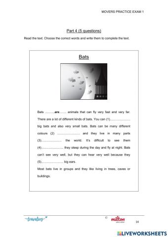 Movers - milton - reading comprehension