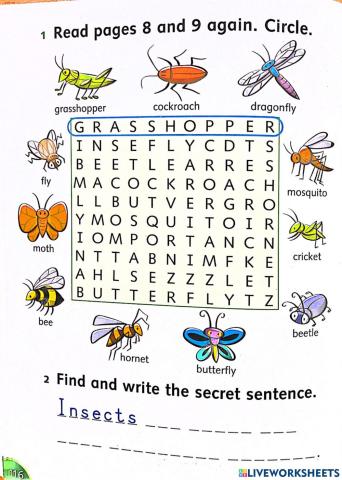 wordsearch