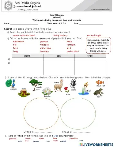 Unit 5: Living things and their environments