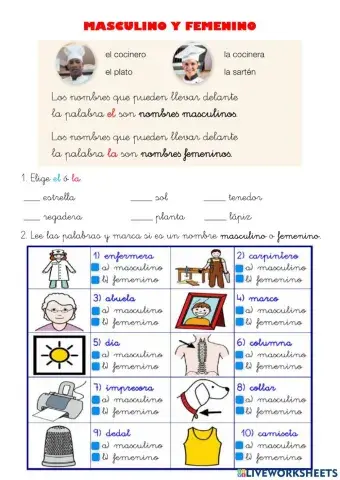 Nombres masculinos y femeninos