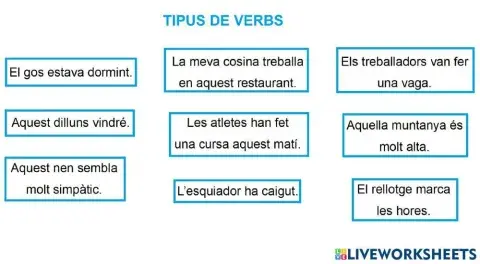 Tipus de verbs