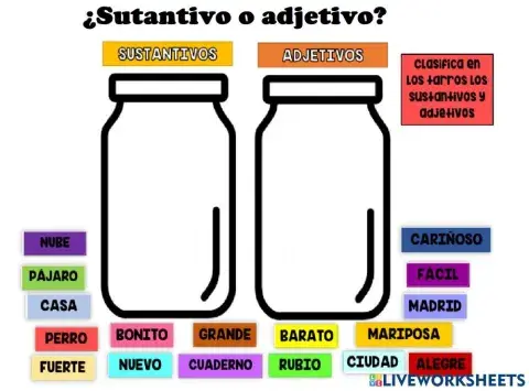 Adjetivo o sustantivo