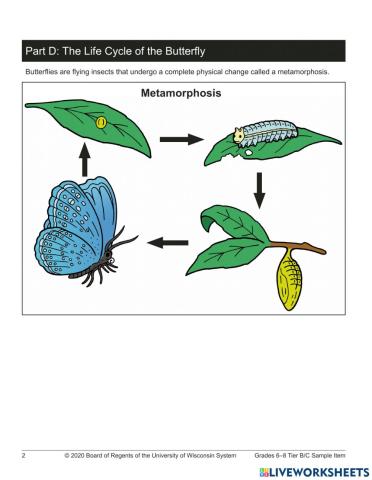 WIDA 6-8 Reading Practice