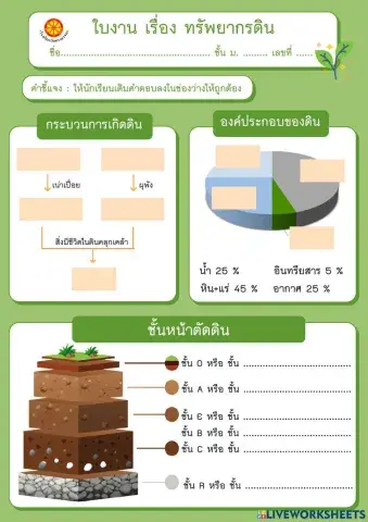 ใบงาน เรือง ดิน