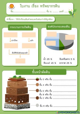 ใบงาน เรือง ดิน