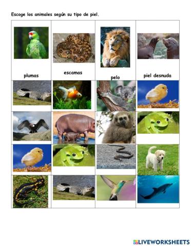 Tipo de pieles de los animales