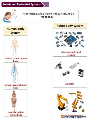 Robot vs human system