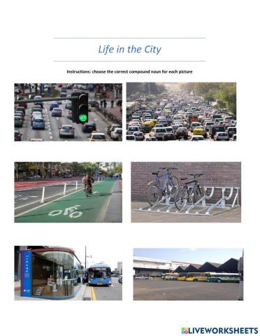 Life in the city