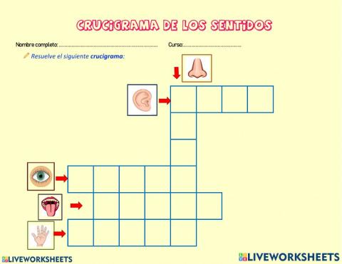 Crucigrama de los sentidos