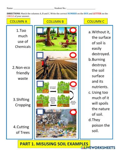 Soil Degradation Primary 2 Science