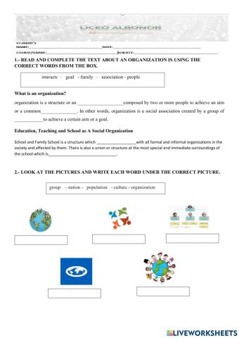 What is an Organization?