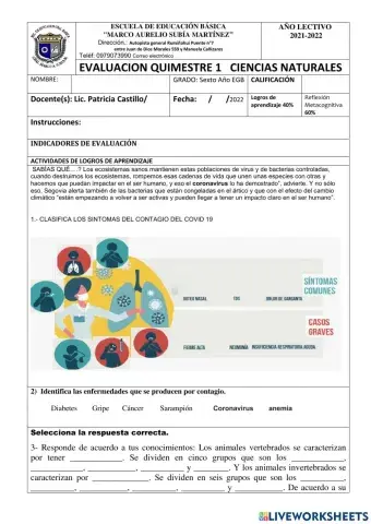 PRUEBA DE PRIMER  QUIMESTRE  CIENCIAS NATURALES 
