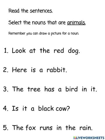 Animal Nouns