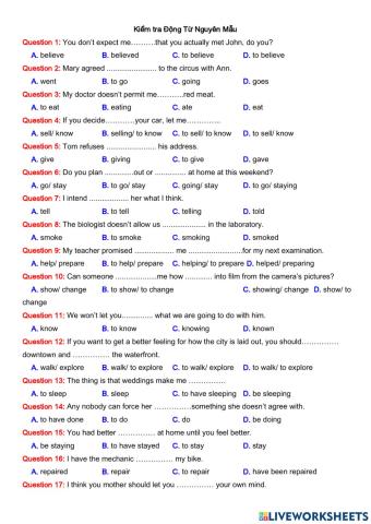 Kiểm tra Động Từ Nguyên Mẫu